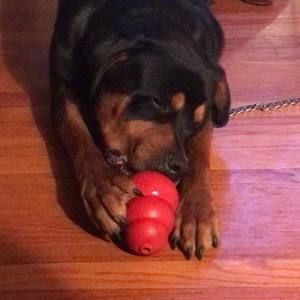 Meet your Posher, Gerald